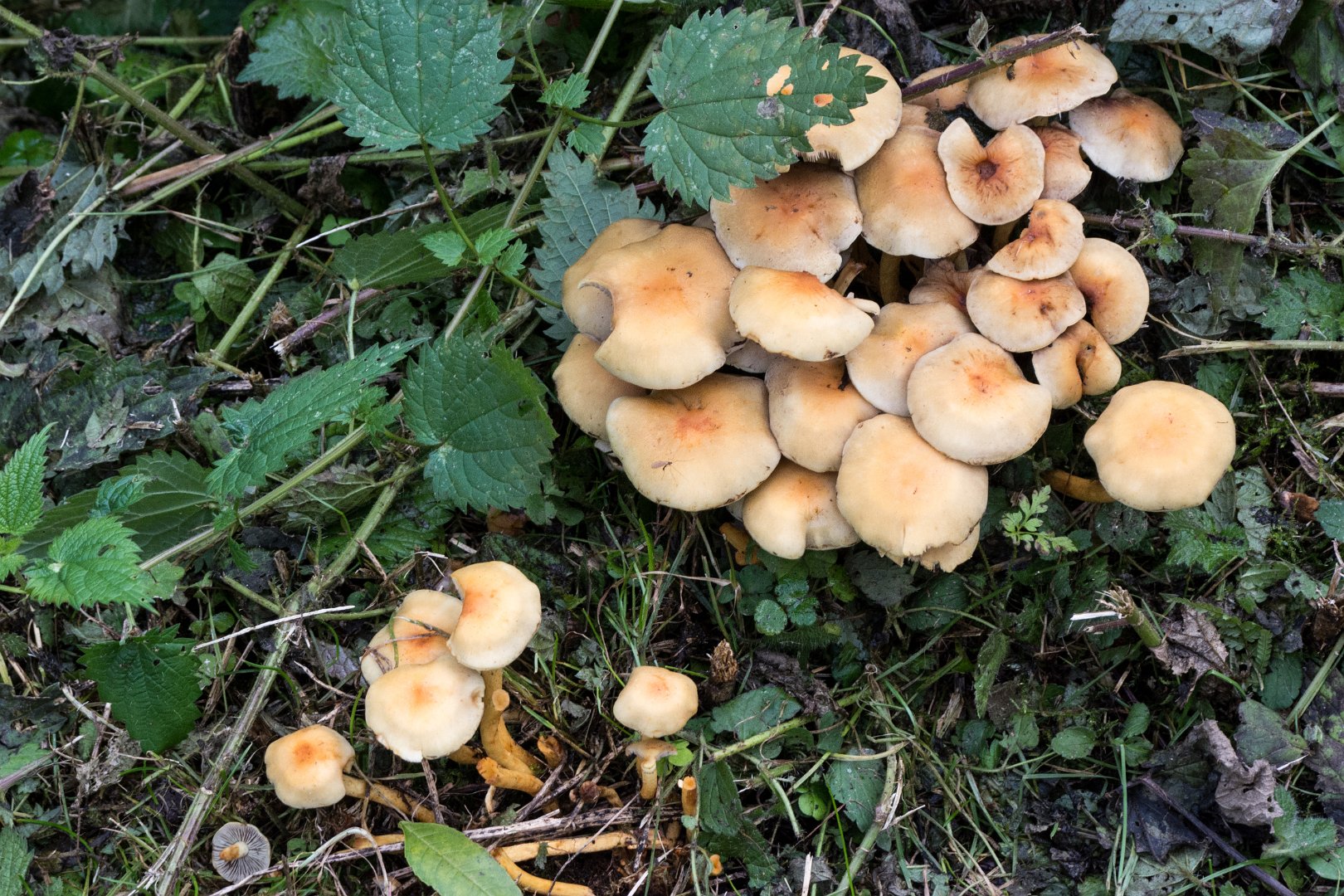 20161011155820