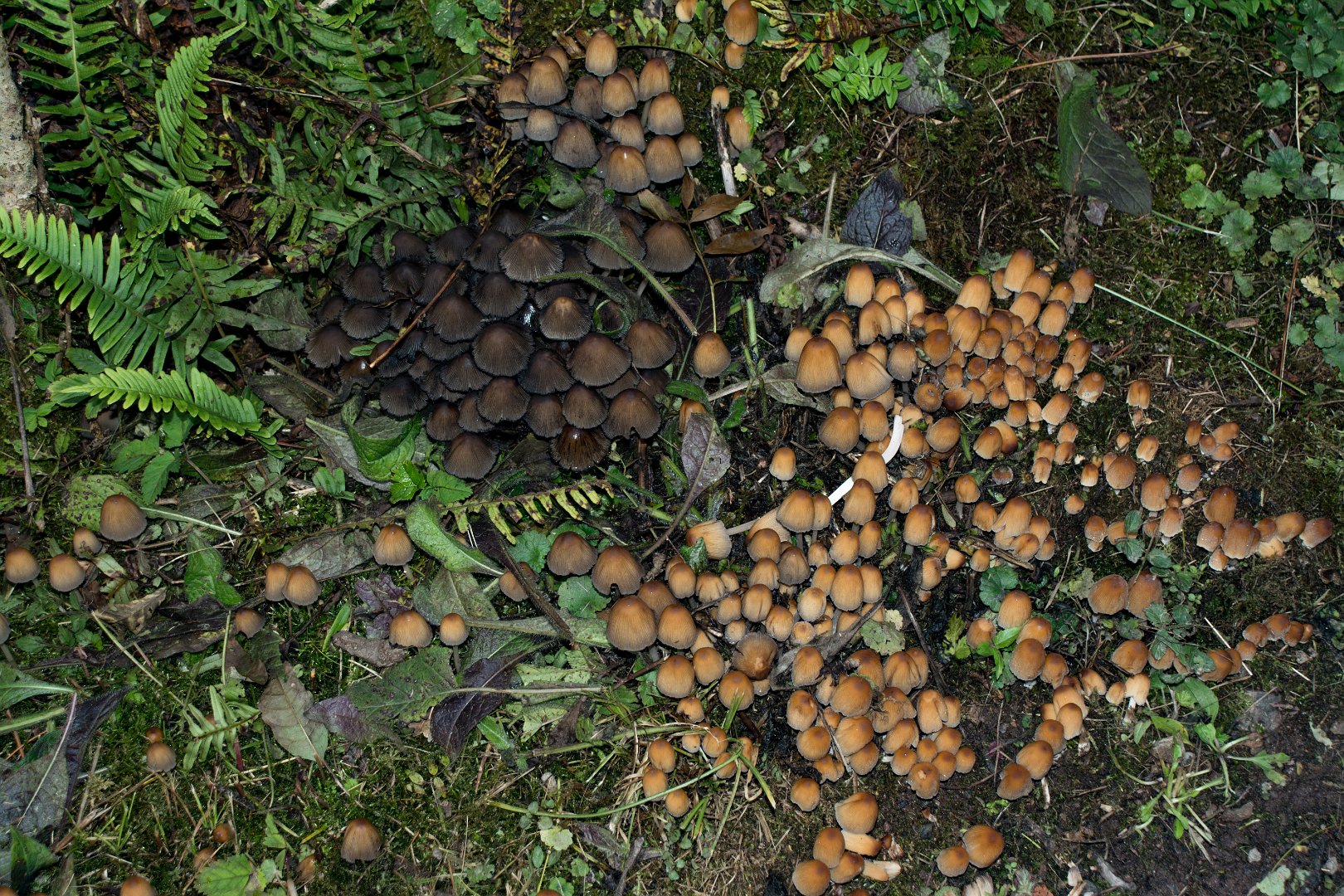 20161011155856
