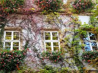 20161009163504 : Europe 2016